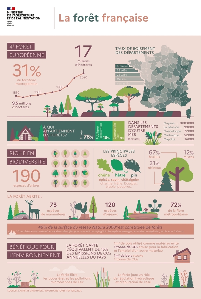 Infographie Ministère de l agriculture et de l alimentation La forêt Française en