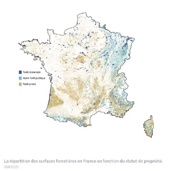 R&eacute;partition des for&ecirc;ts priv&eacute;es et des for&ecirc;ts publiques en France
