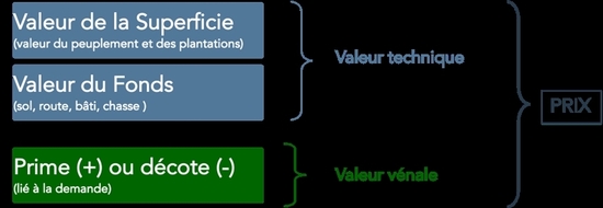 Structure de la valeur d'une for&ecirc;t