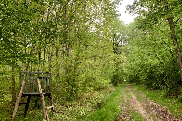 Bois de Gruyère, Forêt de 97 ha à vendre en Saône-et-Loire&copy; Benoit Loiseau - Forêt Patrimoine