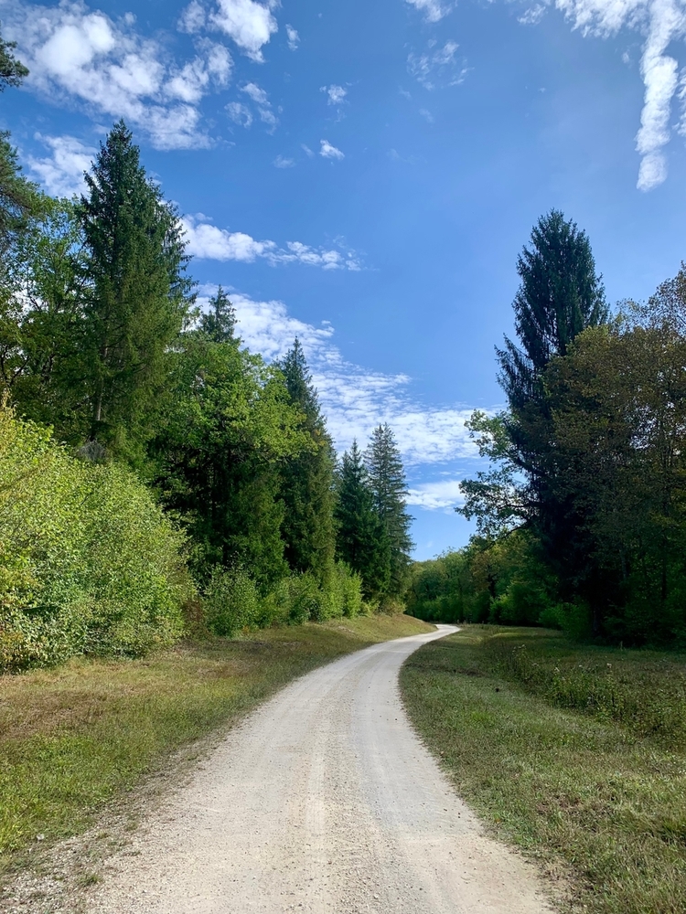 Forêt de Perrigny, 1742 ha de forêts à vendre dans l'Yonne et la cote d'Or
© Benoit Loiseau et Julien Terrier - Forêt Patrimoine Forêt de Perrigny, 1742 ha de forêts à vendre dans l'Yonne et la cote d'Or
© Benoit Loiseau et Julien Terrier - Forêt Patrimoine