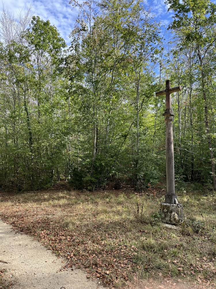 Forêt de Perrigny, 1742 ha de forêts à vendre dans l'Yonne et la cote d'Or
© Benoit Loiseau et Julien Terrier - Forêt Patrimoine Forêt de Perrigny, 1742 ha de forêts à vendre dans l'Yonne et la cote d'Or
© Benoit Loiseau et Julien Terrier - Forêt Patrimoine
