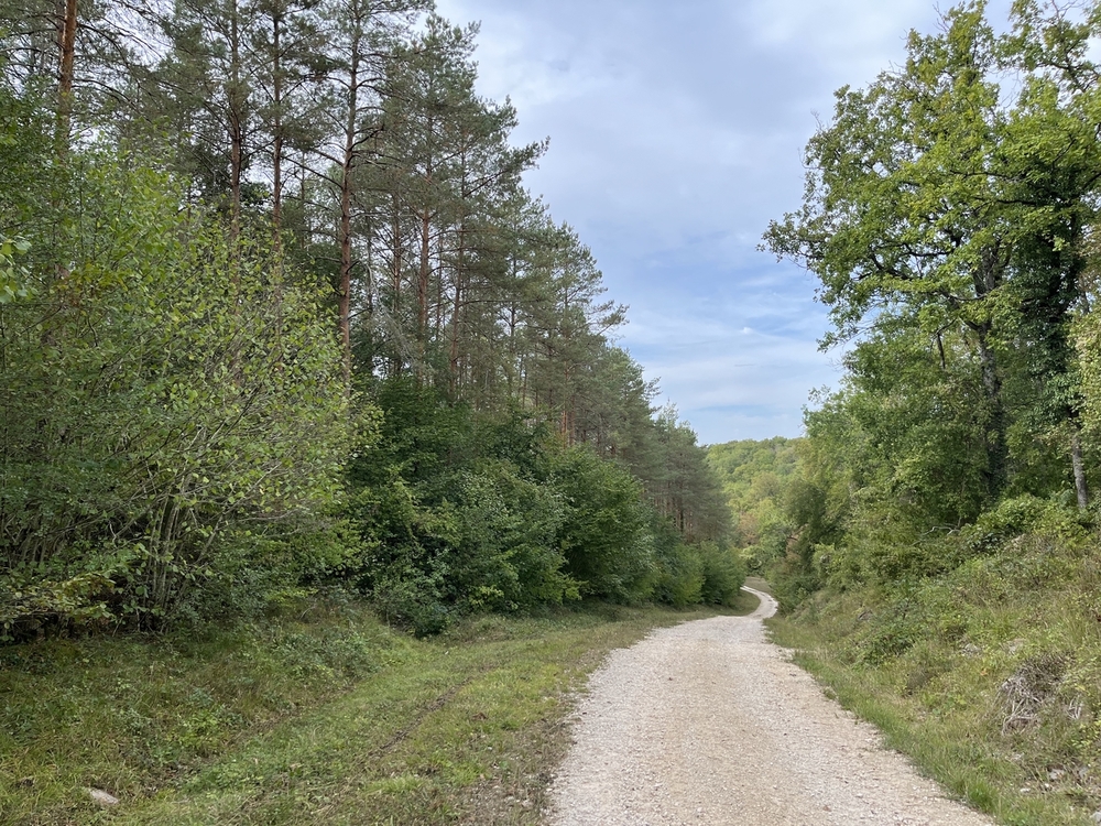 Forêt de Perrigny, 1742 ha de forêts à vendre dans l'Yonne et la cote d'Or
© Benoit Loiseau et Julien Terrier - Forêt Patrimoine Forêt de Perrigny, 1742 ha de forêts à vendre dans l'Yonne et la cote d'Or
© Benoit Loiseau et Julien Terrier - Forêt Patrimoine