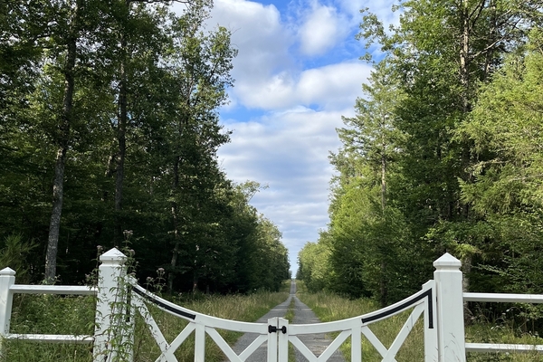 Forêt d'Arpheuilles, 996 ha à vendre par appel d'offres dans le Cher&copy; Forêt Patrimoine