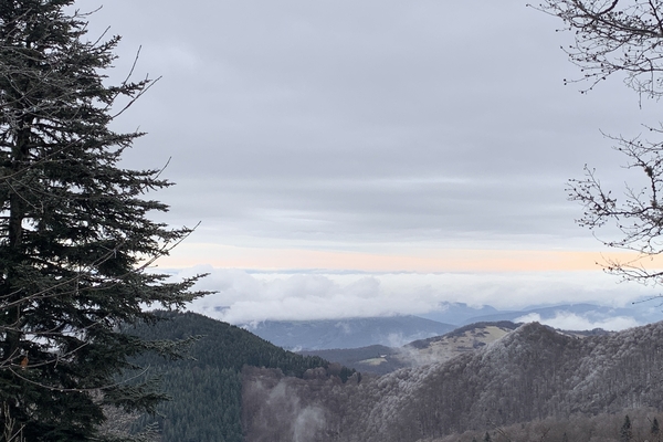Forêt de Saubidou, 514 ha à vendre en Ariège&copy; Benoit Loiseau - Foret Patrimoine