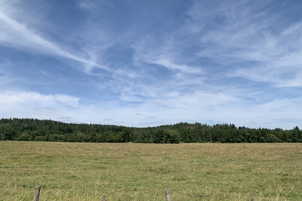 Forêt de l'Artembouchet, 170 ha à vendre dans les Vosges&copy; Benoit Loiseau - Forêt Patrimoine