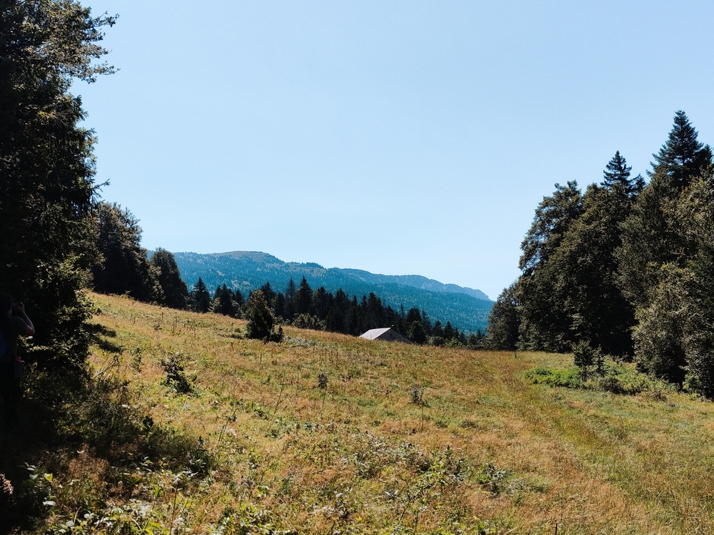 Forêt de Petit-Serre, 59 hectares dans l'Ain
© Forêt Patrimoine Forêt de Petit-Serre, 59 hectares dans l'Ain
© Forêt Patrimoine