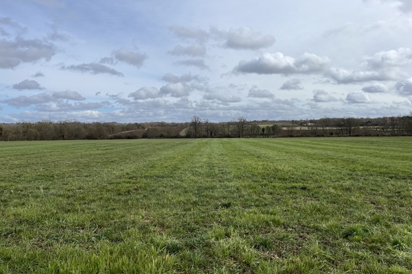 Terres agricoles à vendre, 68 ha en Indre&copy; Julien Terrier - Forêt Patrimoine