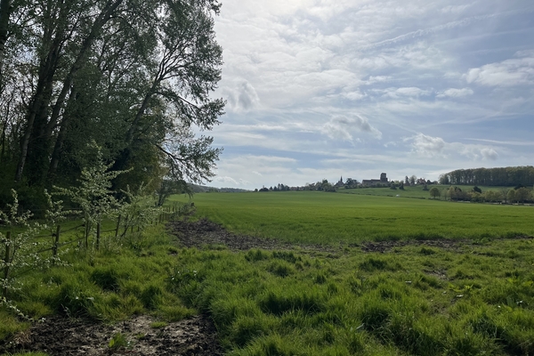 Forêt de Fonds Saint-Sauveur - 8 ha à vendre dans les Yvelines&copy; Julien Terrier - Forêt Patrimoine