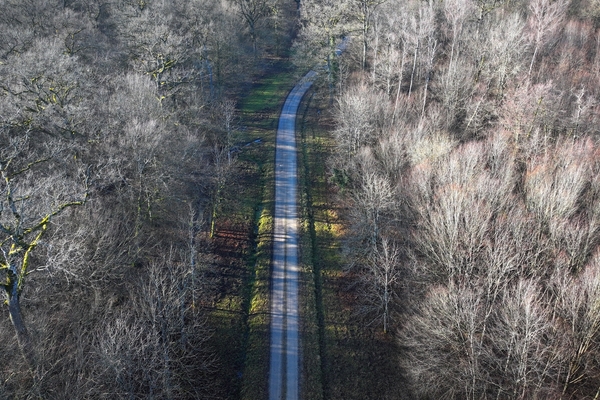 Forêt emblématique de plus de 1500 hectares en Moselle&copy; Julien Souchet - Forêt Patrimoine