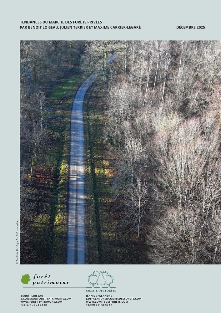 Note 2025 sur le marché des forêts français&copy; Forêt Patrimoine