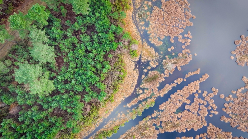 Domaine du Moulin, plus de 700 hectares de Forêts vendues en Indre et Loire
© Forêt Patrimoine Domaine du Moulin, plus de 700 hectares de Forêts vendues en Indre et Loire
© Forêt Patrimoine