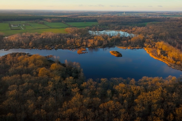 Domaine du Moulin, plus de 700 hectares de Forêts vendues en Indre et Loire&copy; Forêt Patrimoine