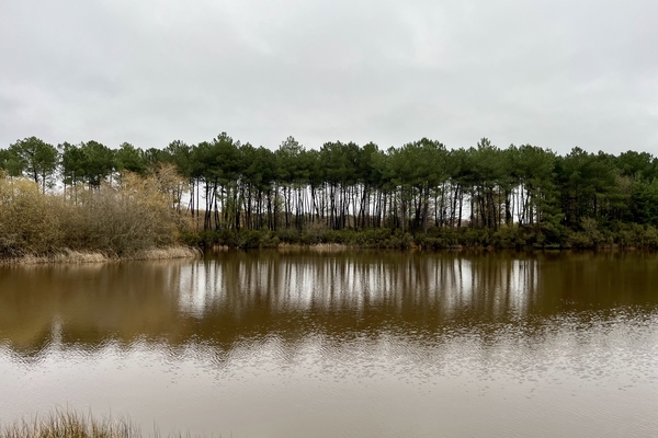 Domaine forestier de 109 hectares à vendre, en Indre-et-Loire (37) proche de Tours&copy; Julien Terrier - Forêt Patrimoine