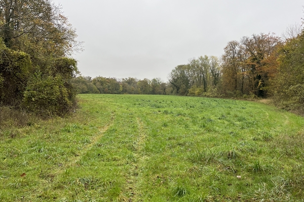 Haut Parc d'Issou, Forêt et Terres agricoles à vendre dans les Yvelines&copy; Julien Terrier - Forêt Patrimoine