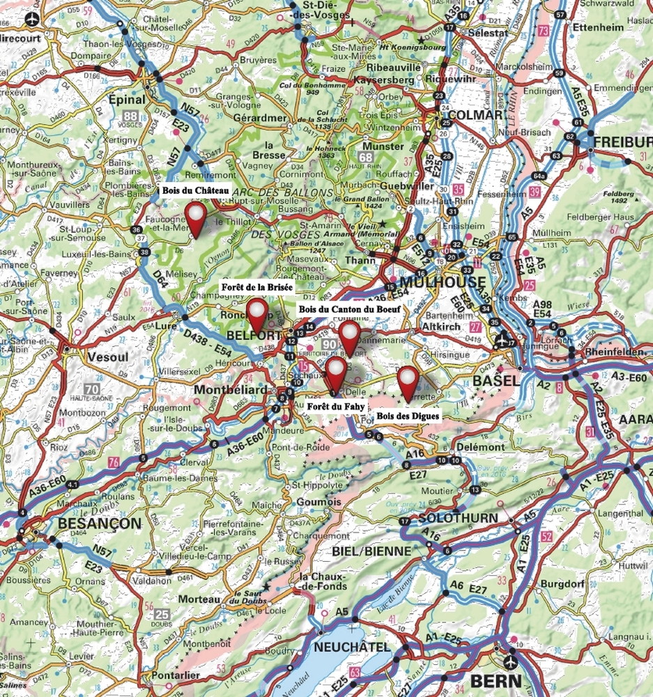 Plan de situation - Rare Ensemble forestier en futaie jardinée
© Forêt Patrimoine Plan de situation - Rare Ensemble forestier en futaie jardinée
© Forêt Patrimoine