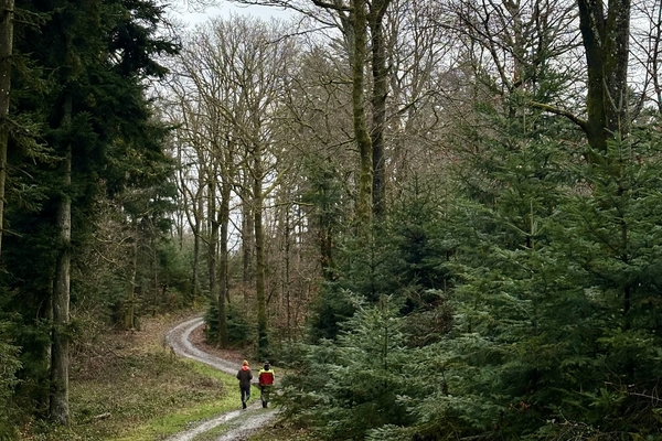 Rare ensemble forestier de 195 ha en futaie jardinée&copy; Forêt Patirmoine