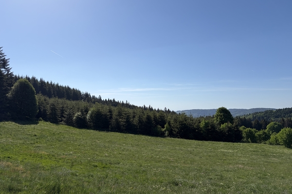 Forêt de 47 hectares à vendre en Ardèche et en Haute-LoireBenoit Loiseau - Forêt Patrimoine